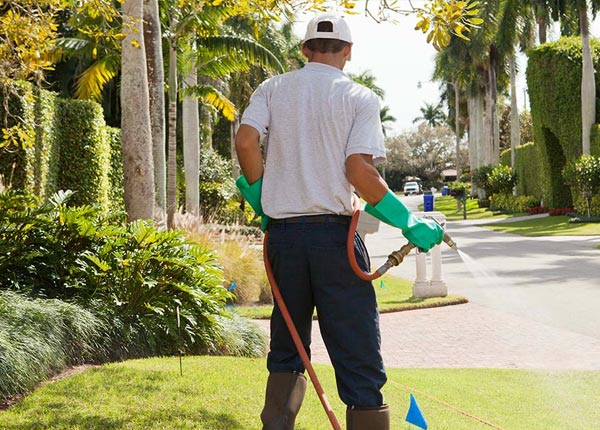 About Hudson NH Pest Control